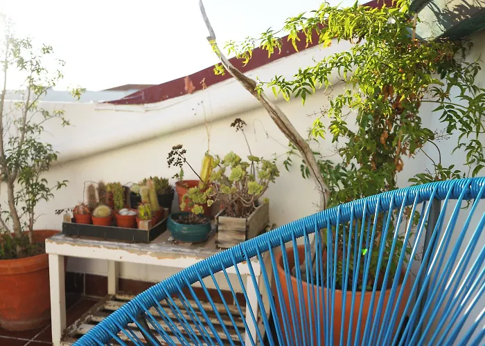 בית הארחה Vic Arts House *